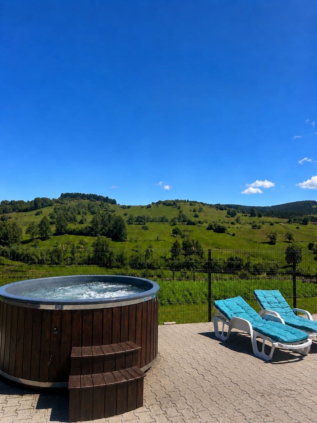Cabana Iancu Jina — foto 3