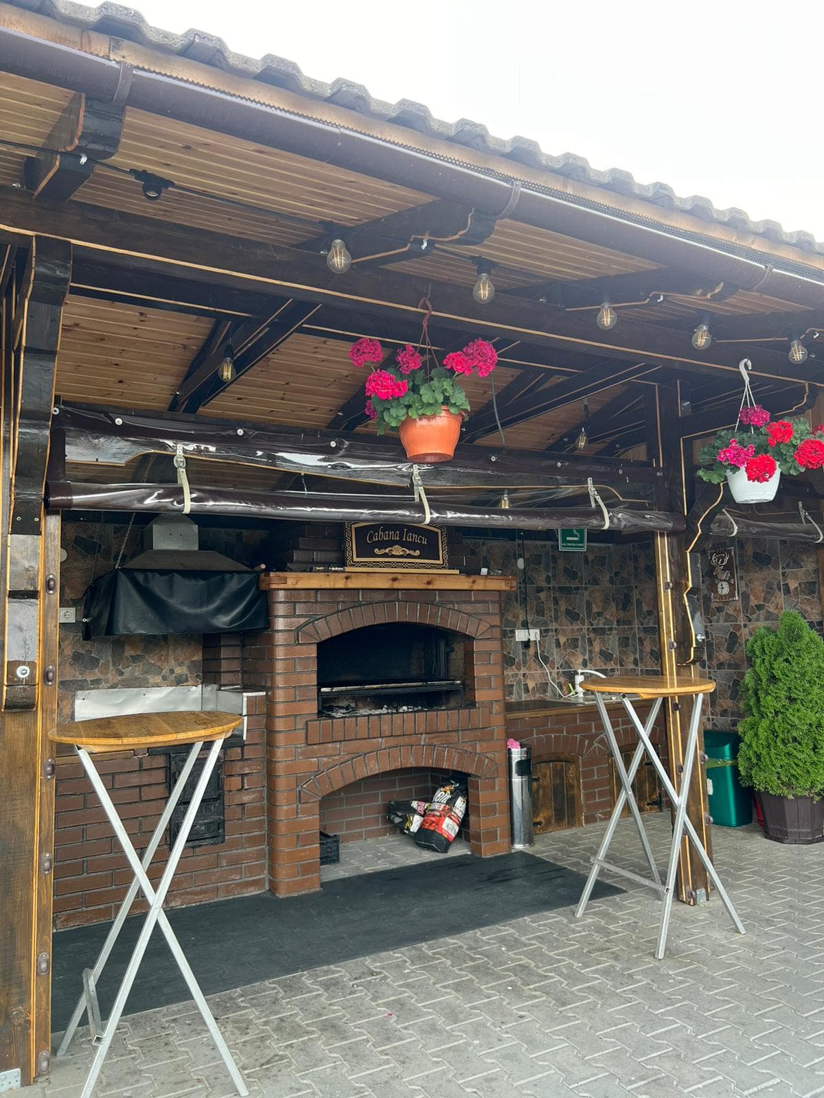 Cabana Iancu Jina — foto 5
