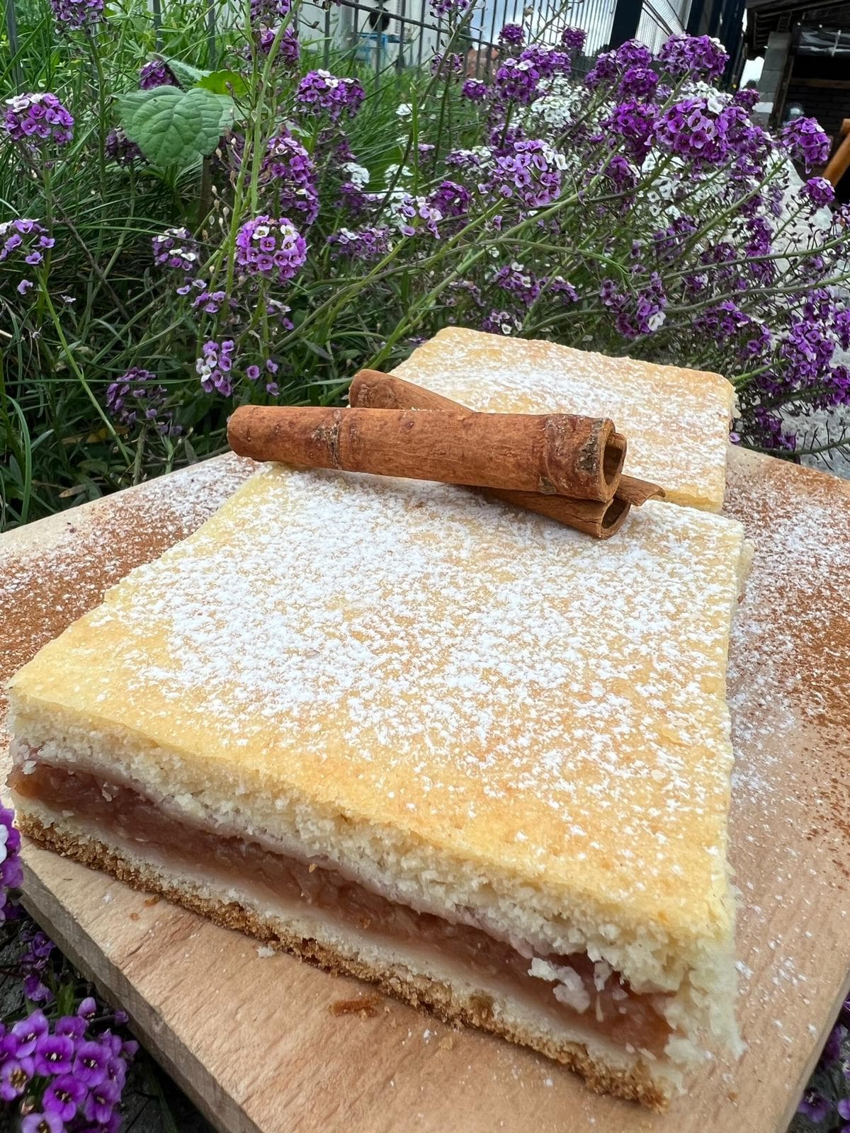 Cabana Iancu Jina — foto 42